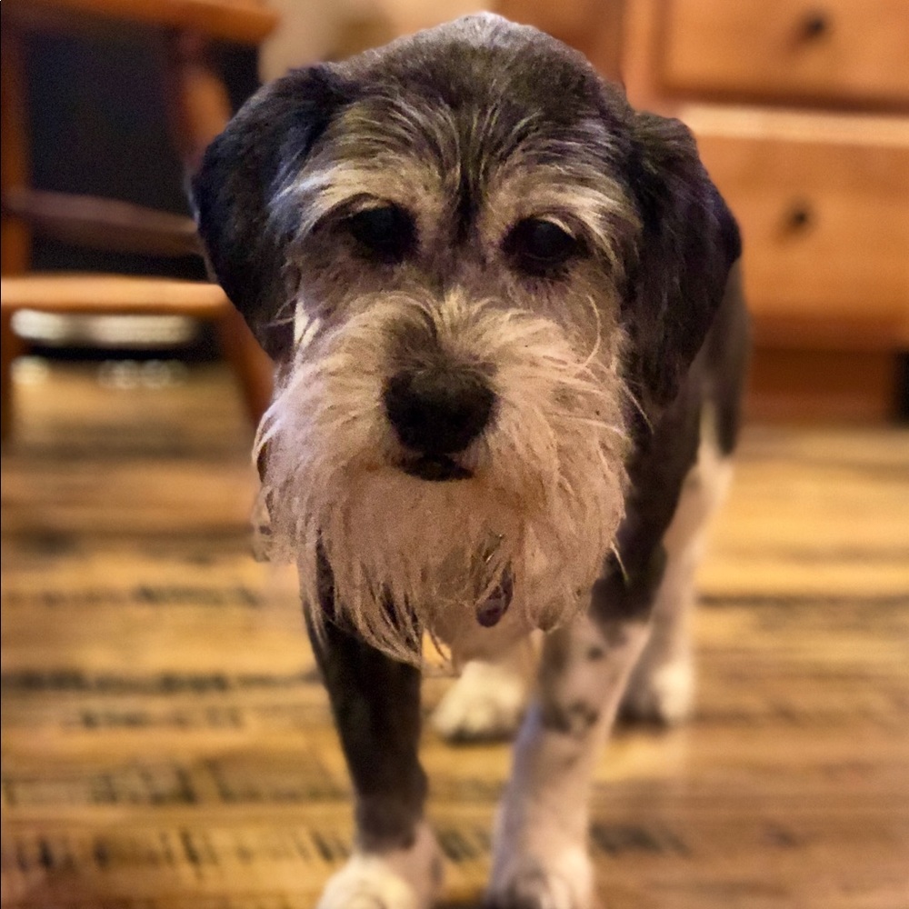 Meet your Posher, Hailey